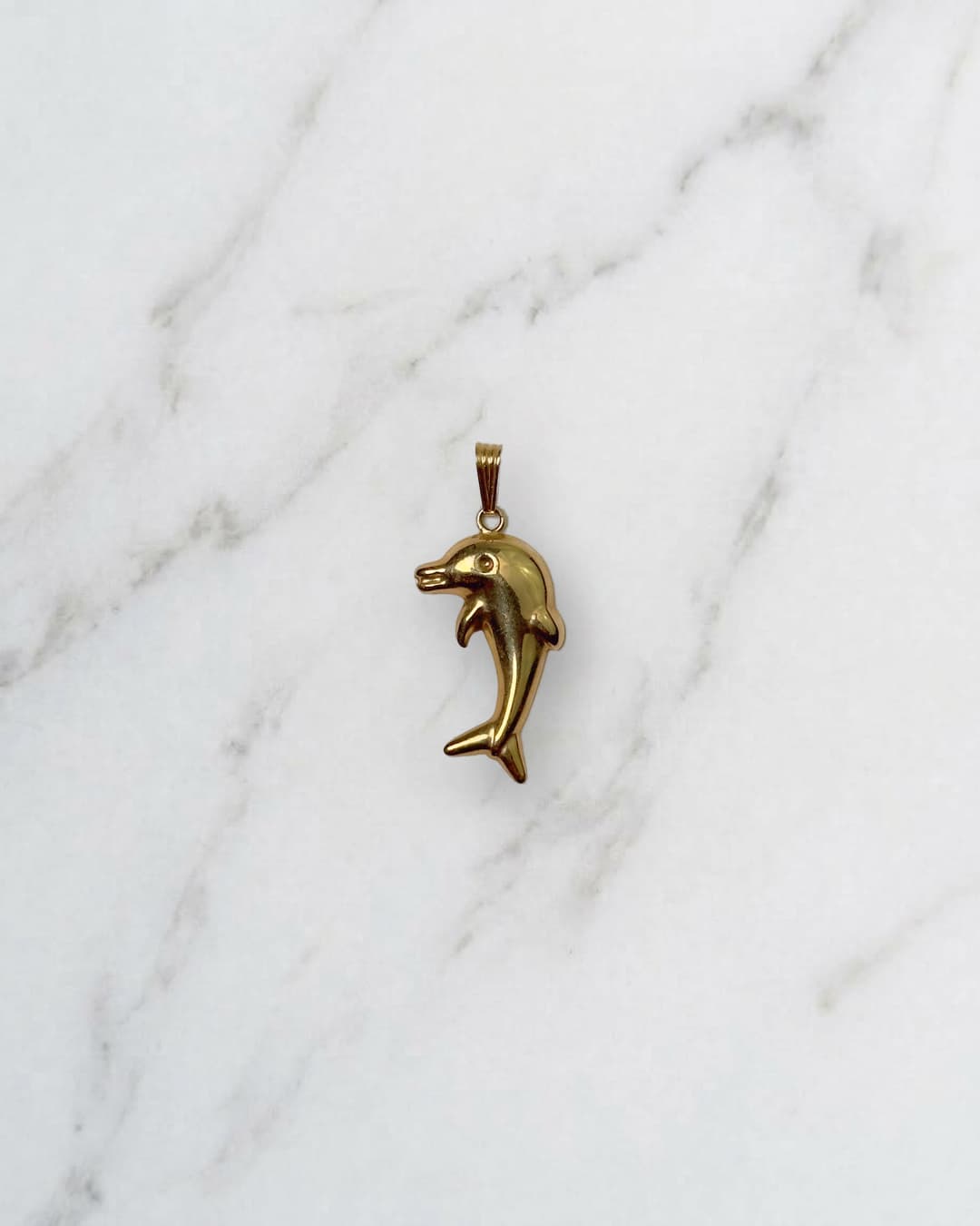 Dolphin charm