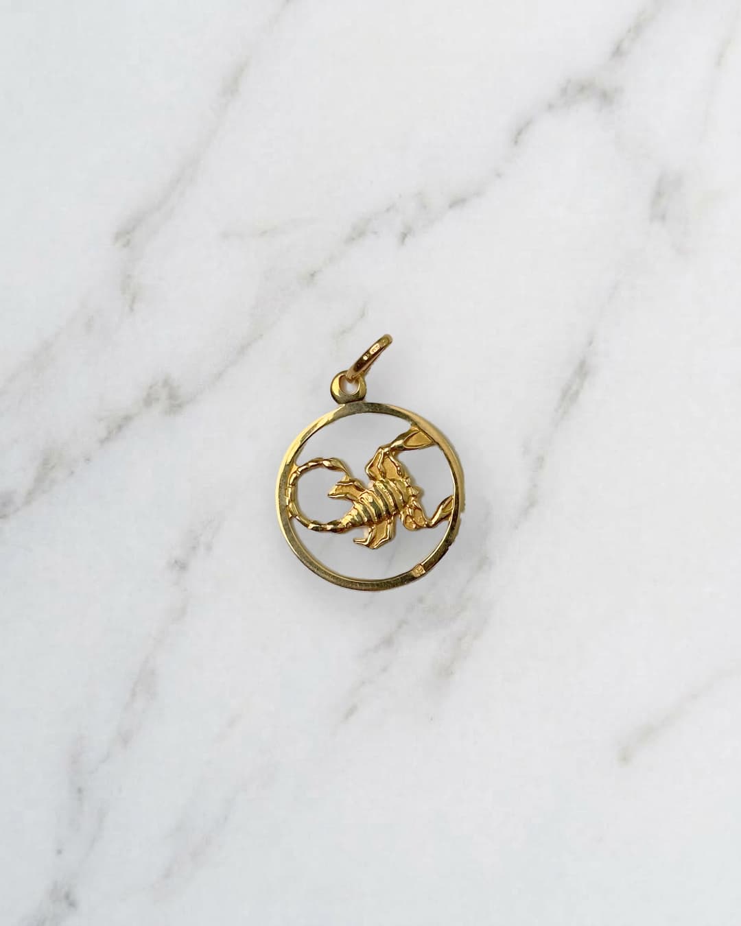 Scorpion charm